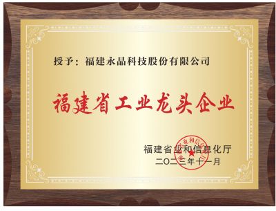 福建省工業(yè)龍頭企業(yè)