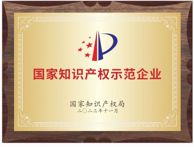 國(guó)家知識(shí)產(chǎn)權(quán)示范企業(yè)