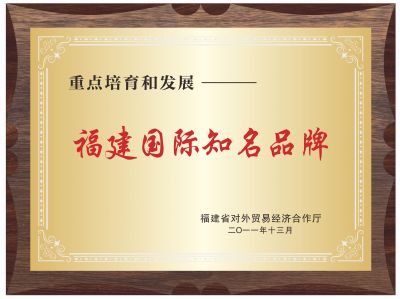 福建國(guó)際知名品牌